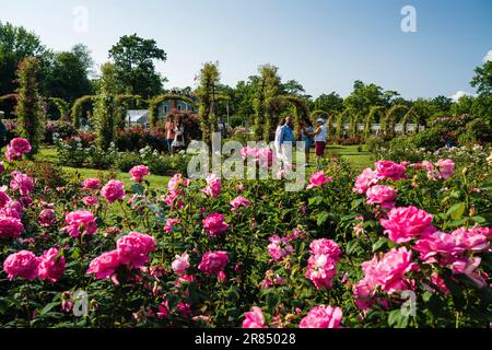 Elizabeth Park   Hartford, Connecticut, USA Stock Photo