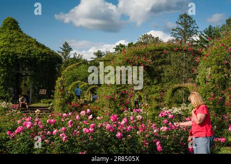 Elizabeth Park   Hartford, Connecticut, USA Stock Photo