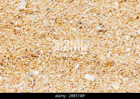 Sand texture,selective focus, copy space. Sandy beach for background. Side view. Natural sand on beach as background for summer designs.Background of Stock Photo
