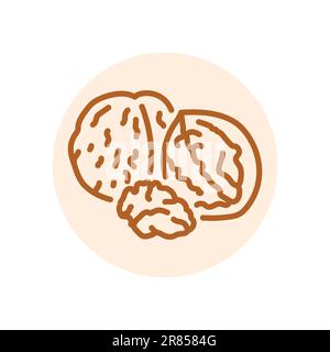 Walnut black line icon. Natural organic super food. Pictogram for web page, mobile app, promo. Stock Vector