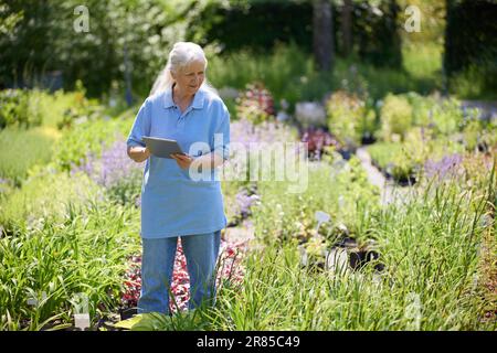 Retired Senior Woman Working Part Time Job In Garden Centre Checking Plants Using Digital Tablet Stock Photo