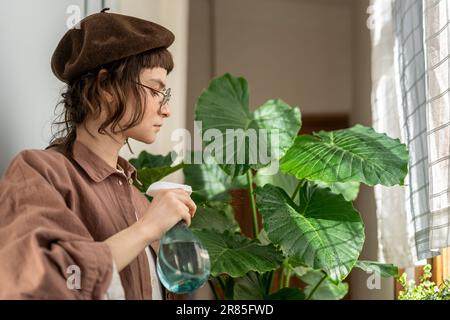 Teenage girl taking care of indoor plants, spraying Alocasia Macrorrhiza houseplant with water Stock Photo
