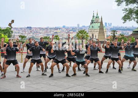 President Petr Pavel (not seen) receives delegation of New Zealand's rugby players on 30th anniversary of establishment of diplomatic contacts between the Czech Republic and New Zealand. The New Zealand Ambassador's team, which will play a duel with the Czech team on Wednesday, performed the traditional Maori haka dance in the South Gardens of Prague Castle for President Petr Pavel today, on Monday, June 19, 2023. In a short speech to the New Zealand athletes, Pavel appreciated the values that rugby represents and which he believes are important in the world outside of sport. The haka dance or Stock Photo