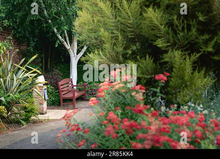 Empty bench in a quiet corner with no people surrounded by trees, shrubs, flowers in spring season in Beverley, Yorkshire, UK. Stock Photo