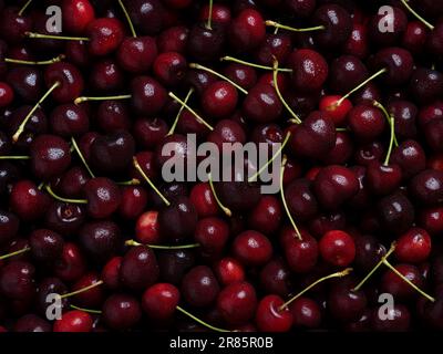 Fresh and ripe cherries. Close-up image of delicious cherries with water droplets on it. Red summer fruits, Fruit background Stock Photo