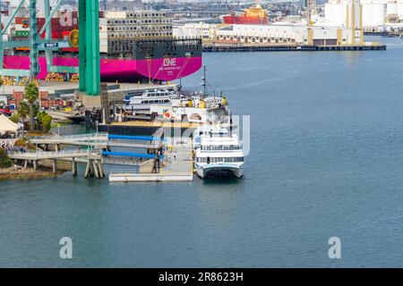 San Pedro, CA, USA – June 2, 2023: The Catalina Express catamaran yacht offers round trip service to Catalina Island is docked at the Port of Los Ange Stock Photo