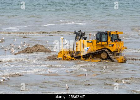 Bulldozer used for sand replenishment / beach nourishment to reduce storm damage to coastal structures along the Dutch coast at Zeeland, Netherlands Stock Photo