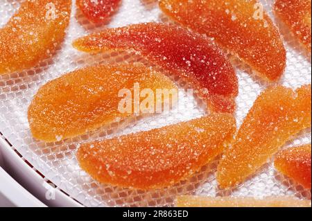Candied dried apple slices on a tray dryer Stock Photo