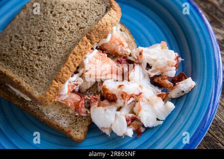 Lobster meat, Homarus gammarus, from a lobster caught in the English Channel. It has been boiled, chopped and served in a brown bread sandwich with so Stock Photo