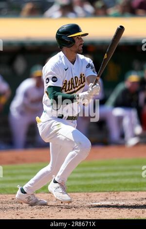 The Oakland Athletics have DFA'd Tyler Wade. #mlb #TylerWade  #oaklandathletics #mlbe1athletics