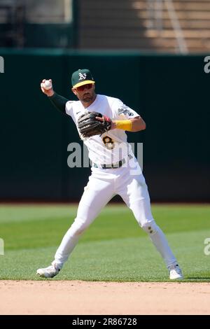 The Oakland Athletics have DFA'd Tyler Wade. #mlb #TylerWade # oaklandathletics #mlbe1athletics