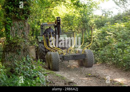 High Bickington, North Devon, England,United Kingdom Stock Photo