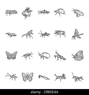 Insects black line icons set . Pictograms for web page, mobile app, promo. Stock Vector