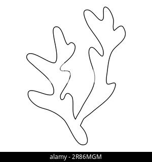 Sea and aquarium water plant or seaweed, doodle style flat vector outline illustration for kids coloring book Stock Vector