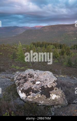 The Cairngorm Mountains viewed from Ord Ban, Loch an Eilean, Scotland, UK Stock Photo