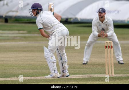 Bognor v Eastbourne Sussex cricket league Stock Photo