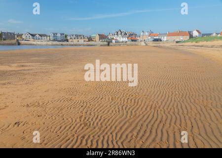 Sandy beach and shoreline at low tide in the seaside coastal village of Elie, East Neuk, Fife, Scotland, UK. Stock Photo