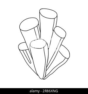 Seaweed or aquarium water plant, doodle style flat vector outline illustration for kids coloring book Stock Vector