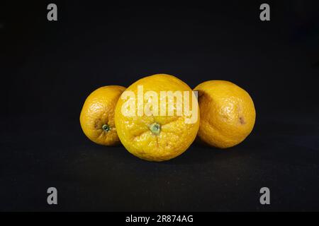 Picture of oranges, three of them, as a whole, isolated on a black background. An orange is a fruit of various citrus species in the family Rutaceae ( Stock Photo