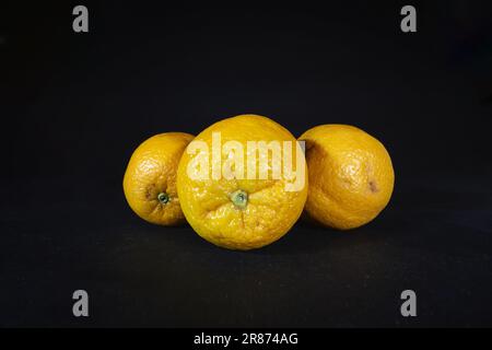 Picture of oranges, three of them, as a whole, isolated on a black background. An orange is a fruit of various citrus species in the family Rutaceae ( Stock Photo