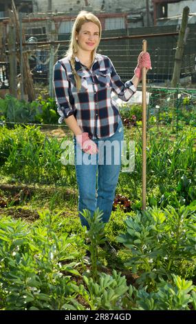 Female weeding beds with beans Stock Photo