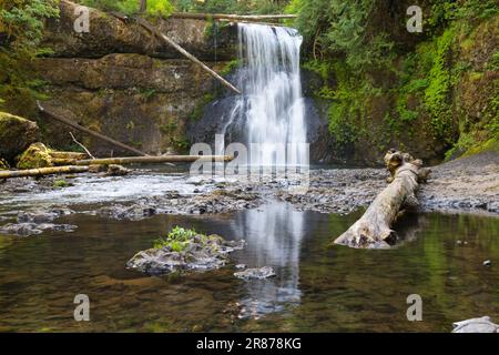 Upper North Falls at Silver Falls State Park with reflection in summer Stock Photo