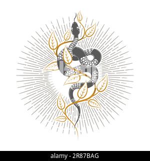 Esoteric snake of wisdom on a branch hermetic alchemy medieval occultic tattoo isolated on white. Vector illustration. Stock Vector