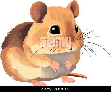 Fluffy mouse sitting, looking with cute whiskers Stock Vector