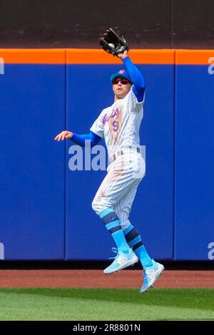 Andrew Knizner of the St. Louis Cardinals catches against the