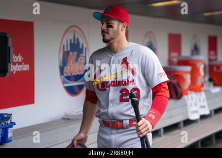 FLUSHING, NY - JUNE 18: St. Louis Cardinals Designated Hitter Paul  Goldschmidt (46) prior to the Major League Game between the St. Louis  Cardinals and the New York Mets on June 18