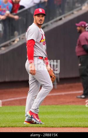 FLUSHING, NY - JUNE 18: St. Louis Cardinals Designated Hitter Paul  Goldschmidt (46) prior to the Major League Game between the St. Louis  Cardinals and the New York Mets on June 18