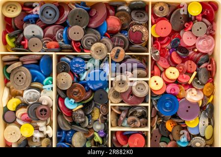 Many buttons in a plastic container, macro, top view. Stock Photo