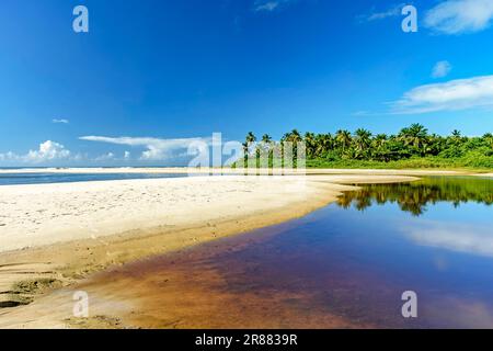 Where the river meets the sea with coconut trees in the background at Sargi beach in Serra Grande on the coast of Bahia Stock Photo