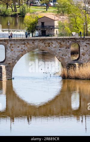 Zamora, April 7, 2023: Scenic view of Douro River and Puente de Piedra, Stone Bridge, with reflections over water. Telephoto lens Stock Photo
