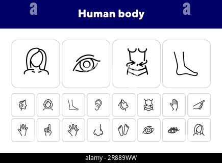 Human body line icon set Stock Vector