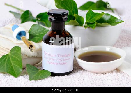 Ivy tincture (Hedera helix Stock Photo - Alamy
