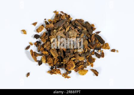 Steamed (Radix (gastropod) ) Rhubarb Root et Rhizoma (Rehum palmatum) (Rheum tanguticum) (Rheum officinale), Steamed Rhubarb Root, Zhi Da Huang Stock Photo