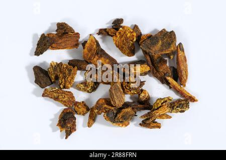 Steamed (Radix (gastropod) ) Rhubarb Root et Rhizoma (Rehum palmatum) (Rheum tanguticum) (Rheum officinale), Steamed Rhubarb Root, Zhi Da Huang Stock Photo