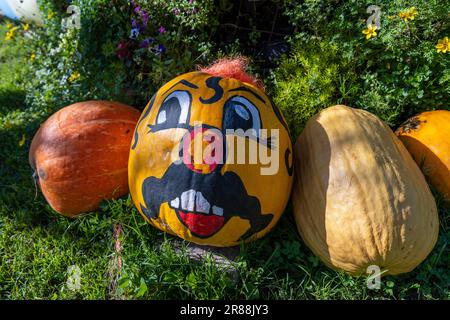 Happy ukrainian man face on painted pumpkin, close up. Ukraine Stock Photo