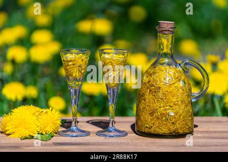 Homemade dandelion flowers tincture in two glasses and in a glass bottle on a wooden table in a summer garden, close up Stock Photo