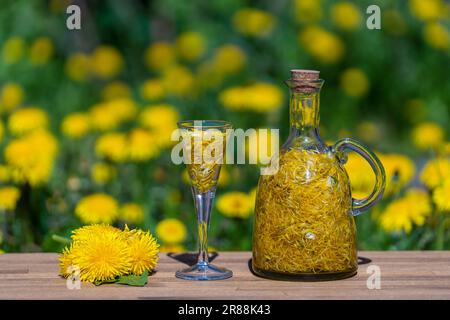 Homemade dandelion flowers tincture in glass bottle on a wooden table in a summer garden, close up Stock Photo