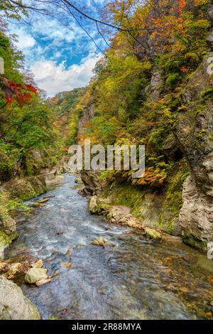 The Daiya River winds through Naruko Gorge in autumn surrounded by vibrant foliage and small waterfalls. The serene atmosphere is a mesmerizing displa Stock Photo