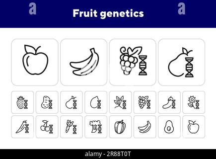 Fruit genetics line icon set Stock Vector