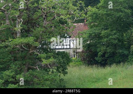 Cute cottage hidden in trees Stock Photo