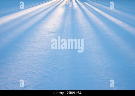 Rays of sun light on a frozen lake snow surface Stock Photo