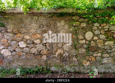 Old park fence wall, made of large river stones and concrete, with green branches on top, suitable for backgrounds and plots Stock Photo