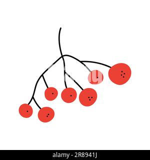 Rowanberry. Hand drawn sketch icon of twig with berries. Isolated vector illustration in doodle line style. Stock Vector