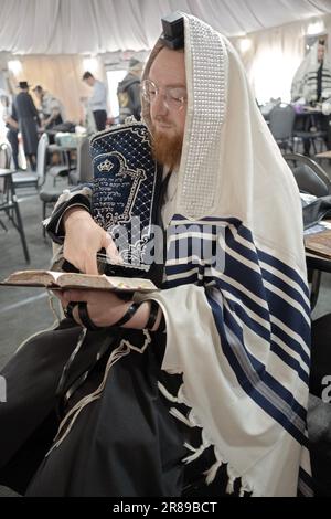After a reading & before it's returned to the Holy Ark an orthodox Jewish man holds a Torah while seated and reciting morning prayers. Stock Photo