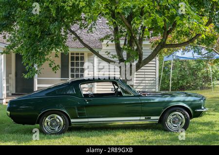 DEARBORN, MI/USA - JUNE 17, 2023: 1967 Ford Mustang fastback car, The Henry Ford (THF) Motor Muster car show, near Detroit, Michigan. Stock Photo