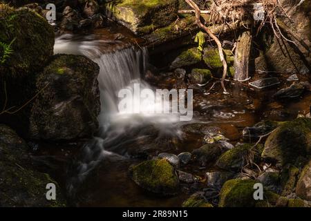 Small waterfall at Llyn Crafnant, Snowdonia, North Wales Stock Photo